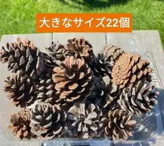 ぱぴこ様 リクエスト 2点 まとめ商品