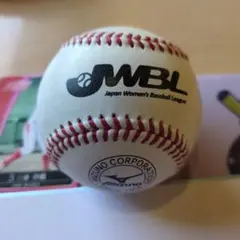 パニ様 リクエスト 4点 まとめ商品