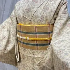 単衣　正絹　縮緬　本塩沢風　小紋　フルセット　フ9997