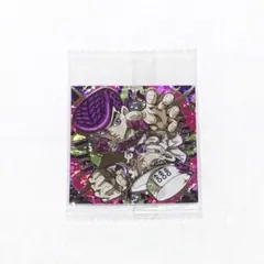 ジョジョ ウエハース 東方仗助 空条承太郎