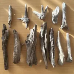 Item thumbnail for item 6e1c57b0-311f-40d4-9123-a0d0267226eb