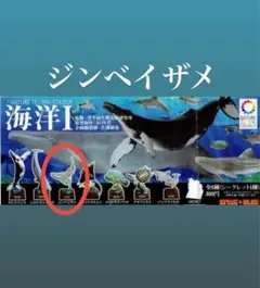 2025年最新】ネイチャーテクニカラー 海洋iの人気アイテム - メルカリ