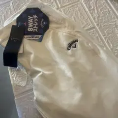 Item thumbnail for item 44a14c5d-918d-4949-850a-7fa3c977bc9a