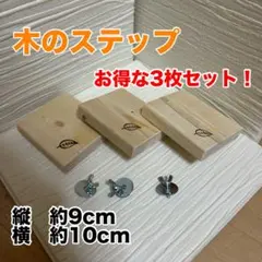 Item thumbnail for item 170c956a-f64a-4aa7-b6cf-5dfd73f2c6ff