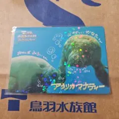 レア 鳥羽水族館 コレクションカード 第2弾 マナティー みらい かなた