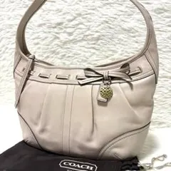 Y2K COACH Christine Python Shoulder Bag - メルカリ