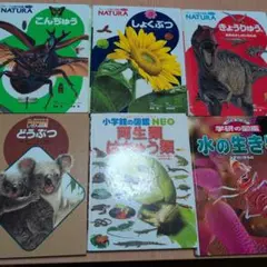 図鑑　昆虫　動物　植物　恐竜