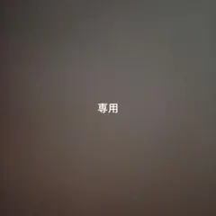 専用です。