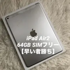 【完動品】iPad Air2 64GB SIMフリー 【すぐ発送】
