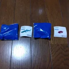 アースピースオーシャン3　ジンベイザメ　スベスベマンジュウガニ