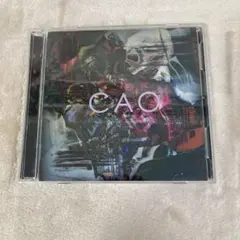 【D34996】CAO