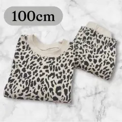 【100cm】 セットアップ レオパード　ヒョウ柄　スウェット　トレーナー　上下