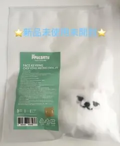 2026年最新】プルバトゥキーリングの人気アイテム - メルカリ