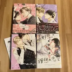 君に恋するはずがない　シリーズ4冊セット
