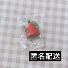ナンジャモンジャ カプセル フィギュア キーホルダー シロ vol.2