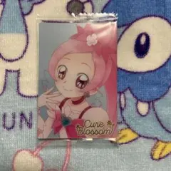 ハートキャッチプリキュア　キュアブロッサム　ウエハース