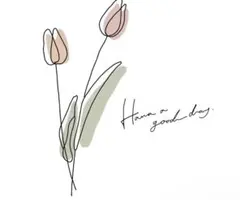 しー さま 専用