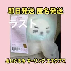 SEVENTEEN MINITEEN プギュリ ぬいぐるみ プラッシュトイ - メルカリ