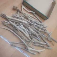 Item thumbnail for item 8cd6bd04-0f32-418a-b5ca-0c76e3bb6dfa