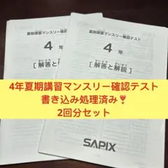 2026年最新】サピックス 4年生 組分けテストの人気アイテム - メルカリ