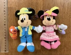 TOKYO Disney resort バケーションパッケージ　ミッキー　ミニー