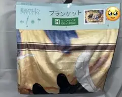 葬送のフリーレン　ハーフサイズブランケットのサムネイル