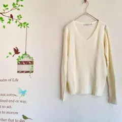 Color/ Vネックリブニット セーター アイボリー M