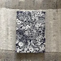 Item thumbnail for item 54fbbd2c-6cd4-4a3d-910a-49d42728f0c1