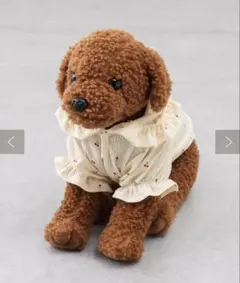 3COINS スリーコインズ スリコ ワッフルプリントフーディー S 犬服