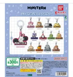MINITEEN めじるしアクセサリー　コンプリートセット