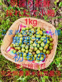 ♡こまめおかしゃん様専用です♡⚠️他のお方はご購入やコメント出来ません⚠️