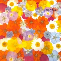 ここ様 リクエスト 3点 まとめ商品