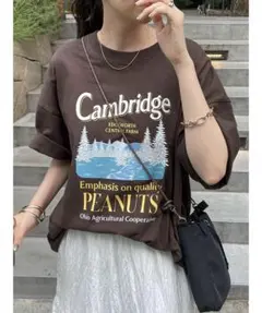 CamBridgeスーベニアビックTシャツ《ユニセックス》 ブラウンのサムネイル