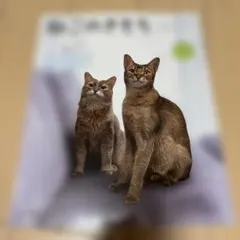 ねこのきもち　7月号のサムネイル