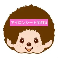 アイロンシート⑥STU