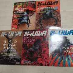 2026年最新】be-kuwaの人気アイテム - メルカリ