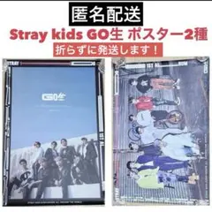 Stray kids GO生 GO LIVE 非売品 B2 ポスター 2種 特典