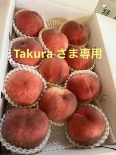 特大サイズの桃を4キロ箱に　11個詰め山梨から発送　もうし直ぐ終了ももやのきよし