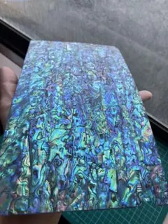 ニュージーランドアワビ貝シート　24x14cm 色合いが美しい