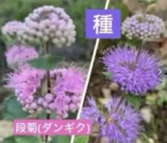 nao様 リクエスト 3点 まとめ商品