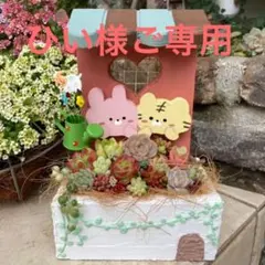 ★多肉植物　寄せ植え〜手作り木製HOUSE寄せ〜★