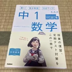 中1数学 新装版