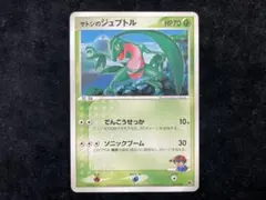 2026年最新】サトシのジュプトルの人気アイテム - メルカリ