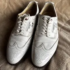 Item thumbnail for item 6a7c2c25-bf13-403b-8d95-cfe007425ed6