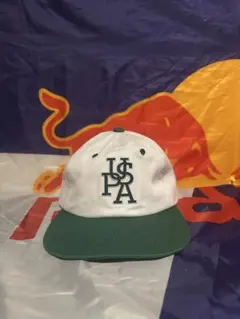 【送料込み】U.S. POLO ASSN. ポロアッスン　平つばキャップ