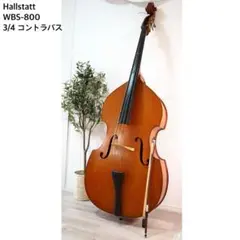 Hallstatt ハルシュタット コントラバス 4/4 WBS-800 - メルカリ