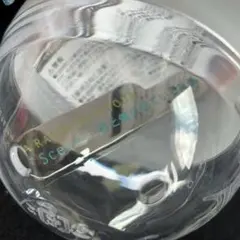 ⑤ライブロゴマグネット We are ARASHI 嵐