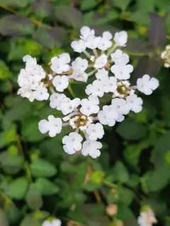 sora様 リクエスト 3点 まとめ商品