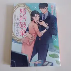 婚約破棄、したはずですが? ～カリスマ御曹司に溺愛されてます～