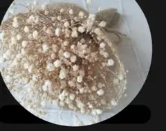 専用出品